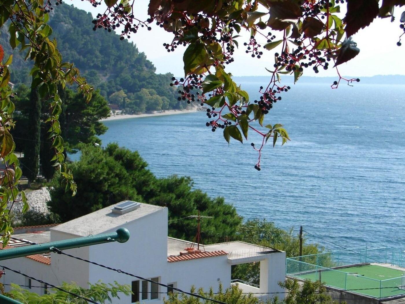 Apartments Gogi Živogošće Zewnętrze zdjęcie